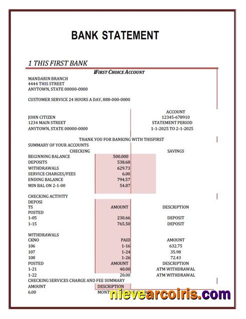 Nigeria First Bank statement Word and PDF